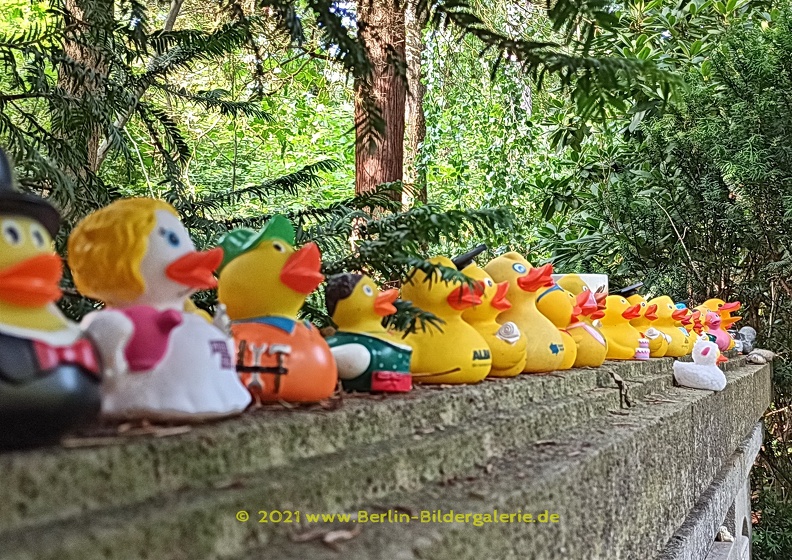 Enten auf dem Grab von Loriot - Loriot_Enten.jpg Loriot_Enten.jpg