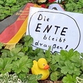 "Die Ente bleibt draußen"